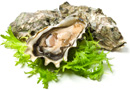 Oysters